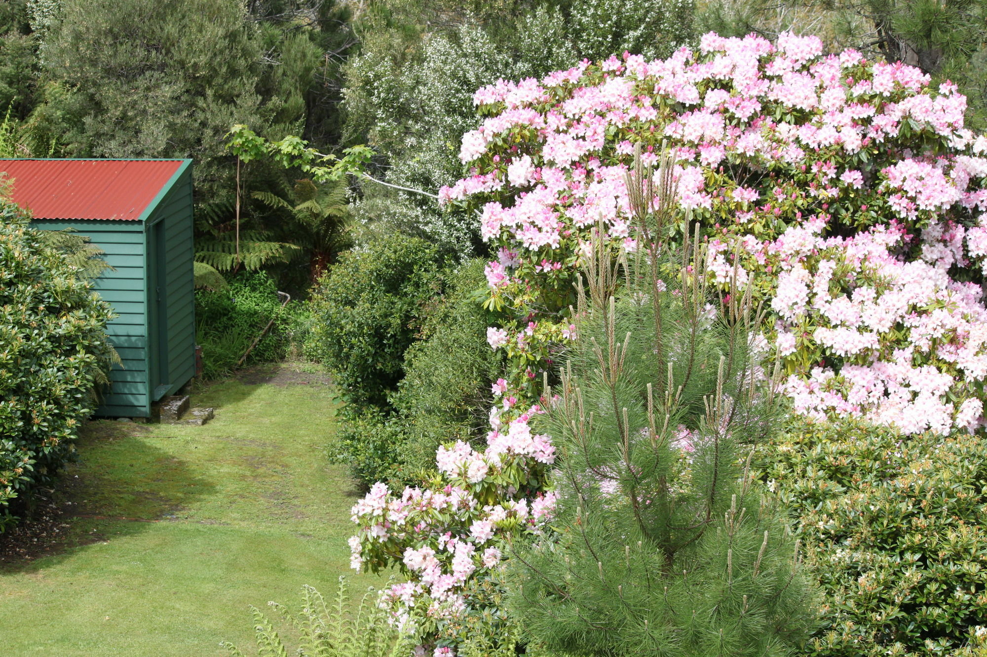 Penghana Bed And Breakfast Queenstown Exterior foto