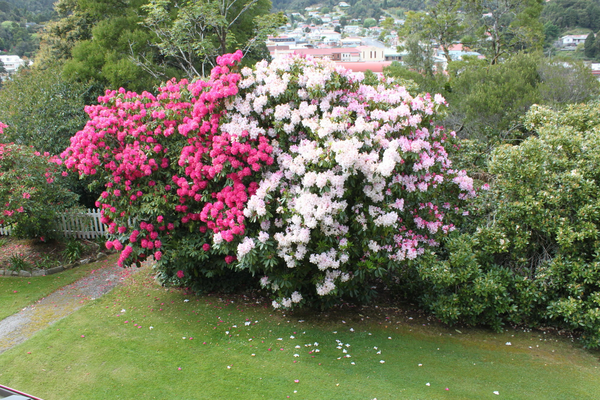 Penghana Bed And Breakfast Queenstown Exterior foto